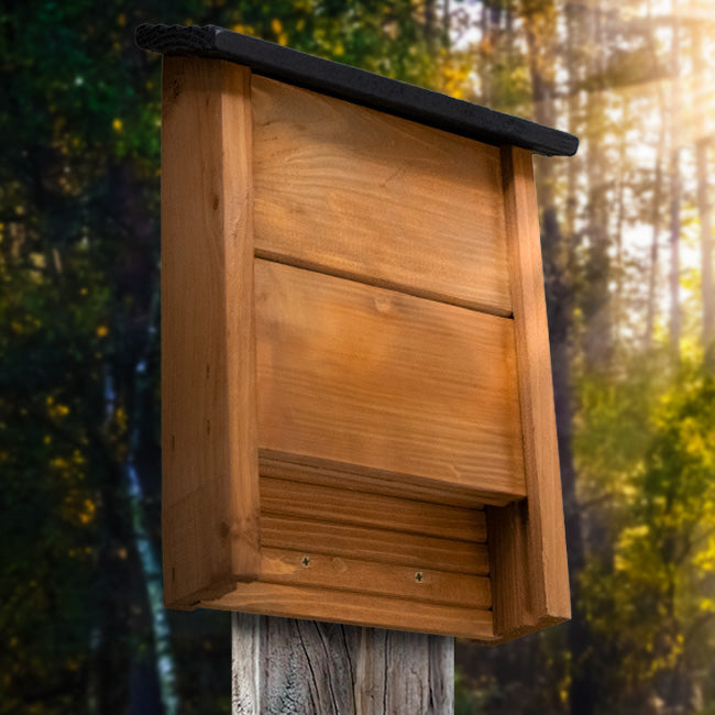 Woodlink Wooden Bat Shelters with Black Roofs, Pack of 2