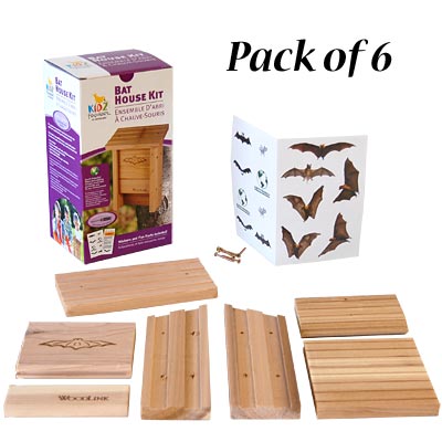 Woodlink Bat House DIY Craft Kits, Club Pack of 6