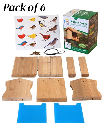 Woodlink Hopper Feeder DIY Craft Kits, Club Pack of 6