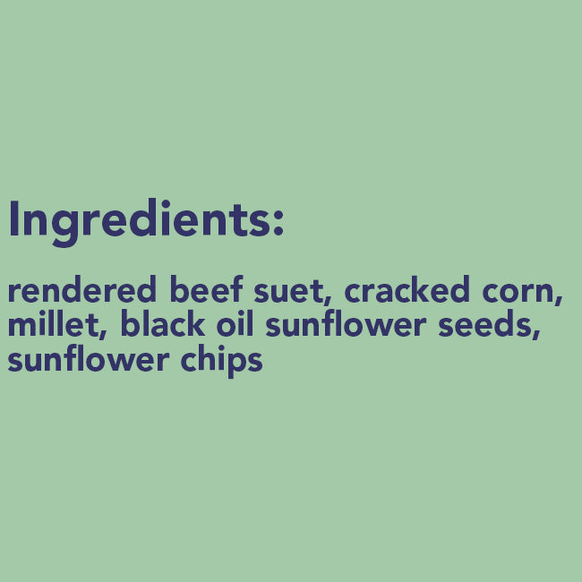 Wildlife Sciences Sunflower Blend Suet Cakes, 11 oz, 24 Pack