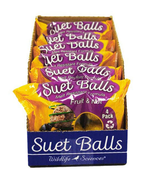 Copper Colored Suet Ball Feeder w/Fruit & Nut Suet Balls Kit