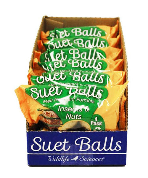 Mealworm & Peanut Combo Feeder w/Insects & Nuts Suet Balls