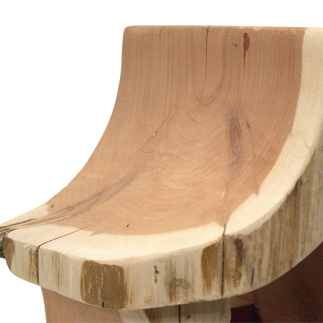 Woodmen Designs Rustic Cedar Well Shaped Bird Feeder