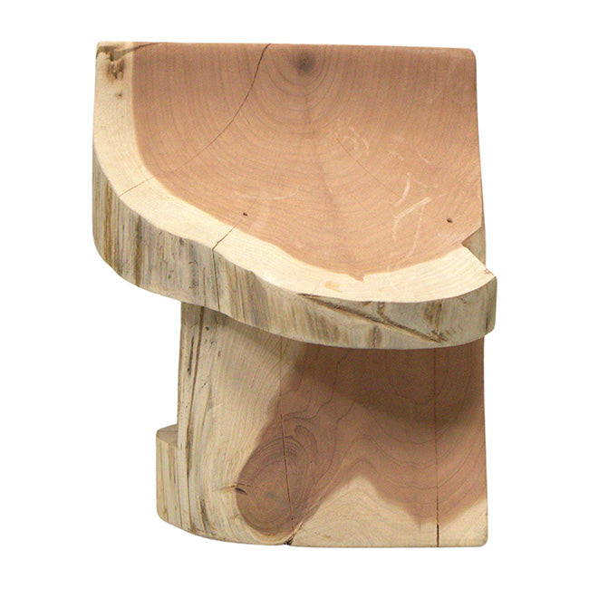 Woodmen Designs Rustic Cedar Well Shaped Bird Feeder