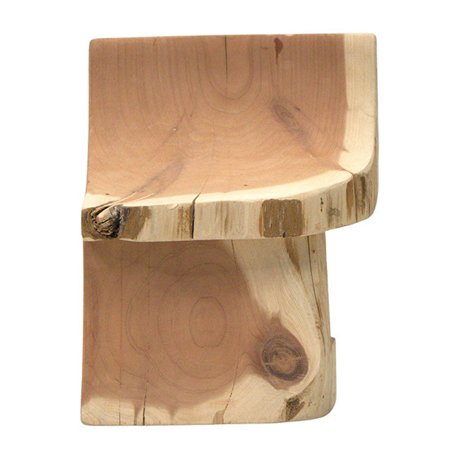 Woodmen Designs Rustic Cedar Well Shaped Bird Feeder