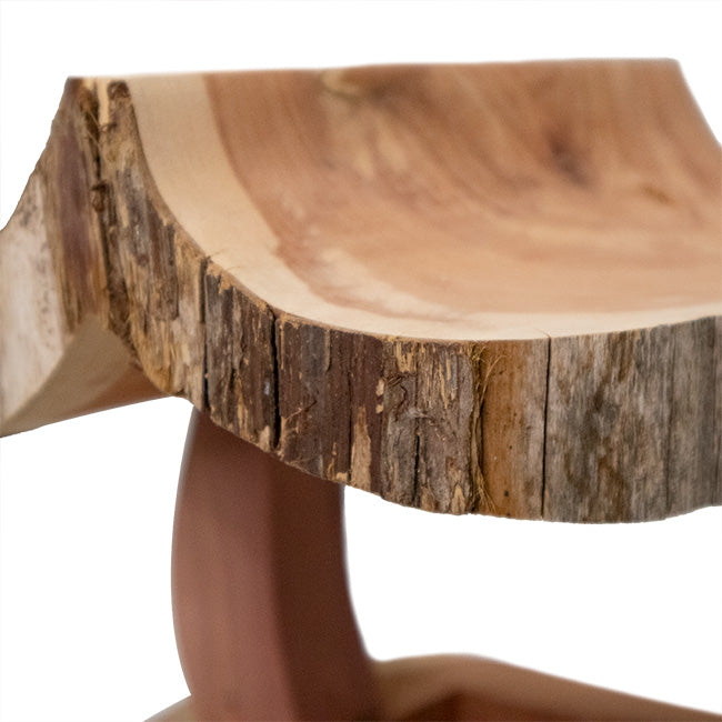 Woodmen Designs Rustic Cedar Fly Through Bird Feeder