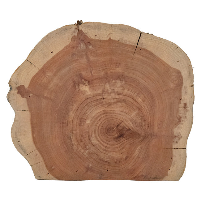 Woodmen Designs Rustic Cedar Fly Through Bird Feeder