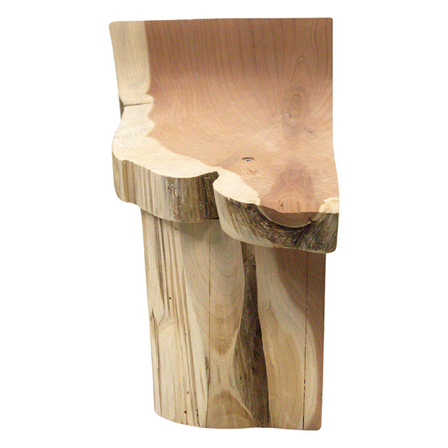 Woodmen Designs Rustic Cedar Handcrafted Bluebird House