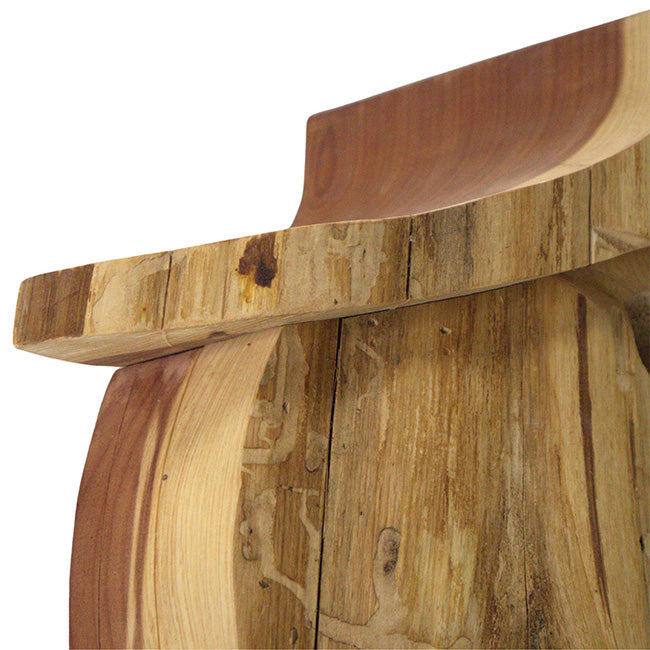 Woodmen Designs Rustic Handmade Bird House with Finish