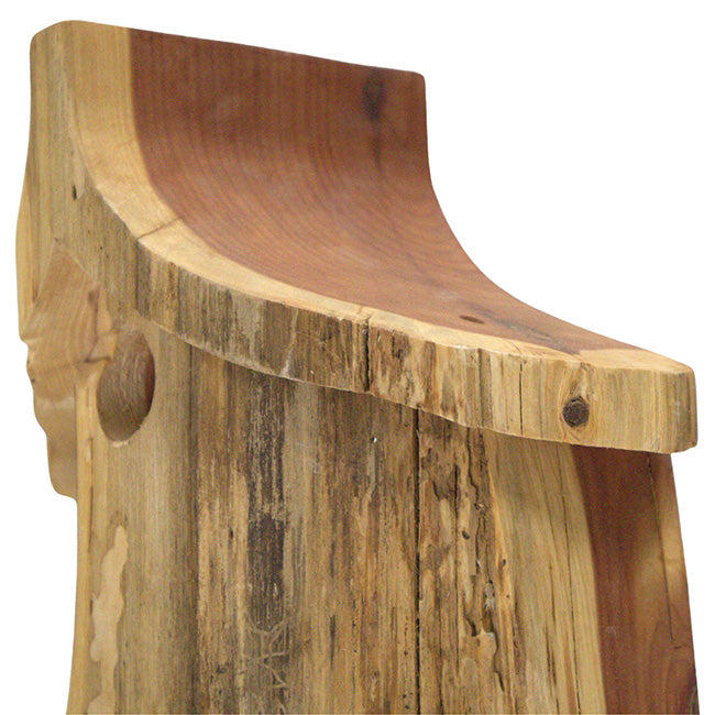 Woodmen Designs Rustic Handmade Bird House with Finish