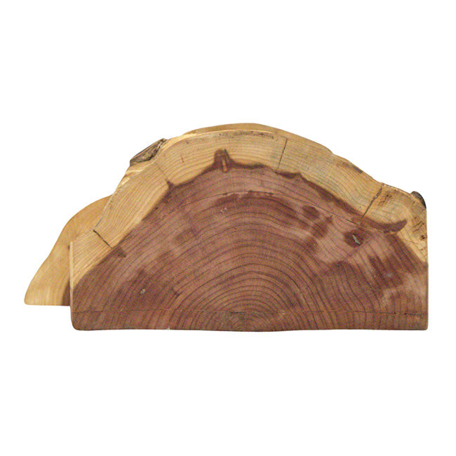 Woodmen Designs Rustic Handmade Bird House with Finish