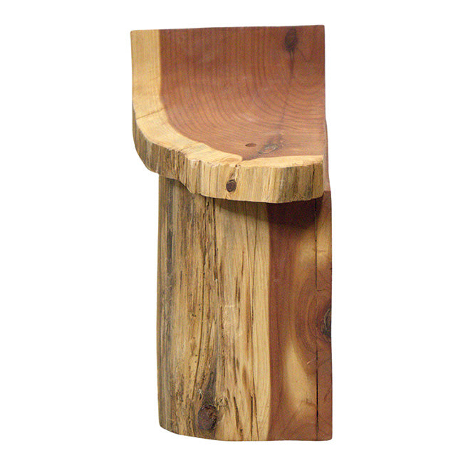Woodmen Designs Rustic Handmade Bird House with Finish