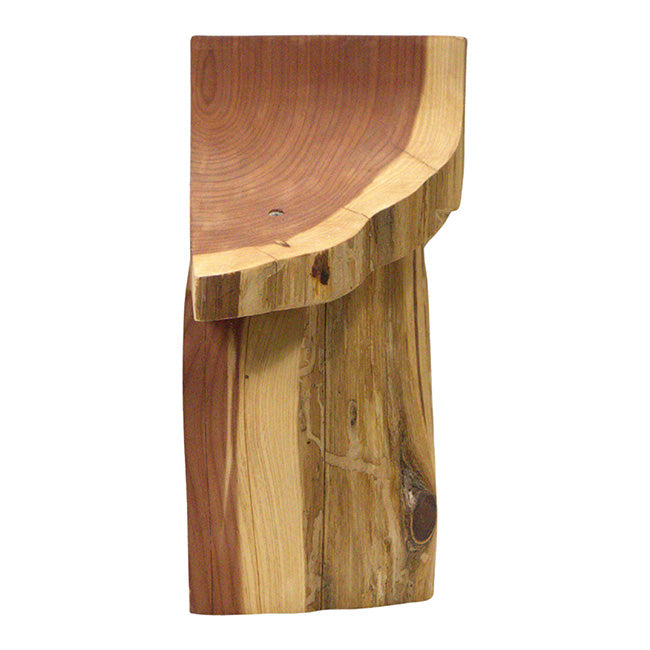 Woodmen Designs Rustic Handmade Bird House with Finish
