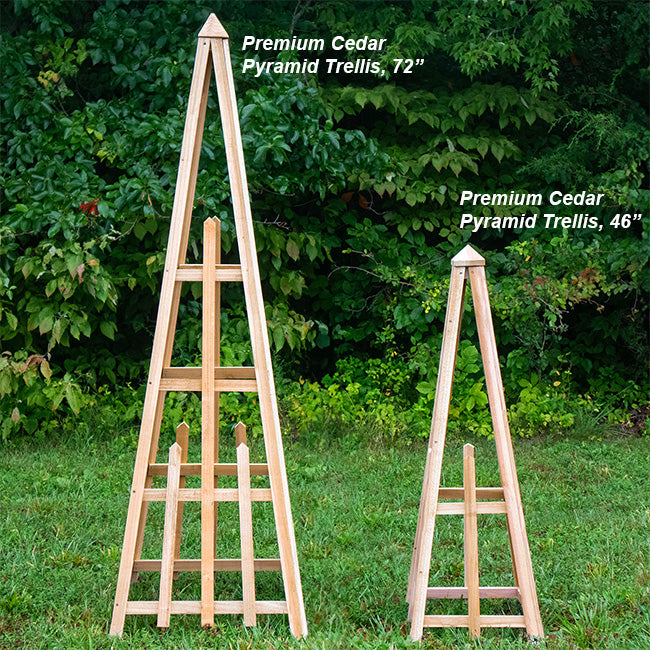 Cedar Standard Pyramid Trellises, 46"H, Pack of 3
