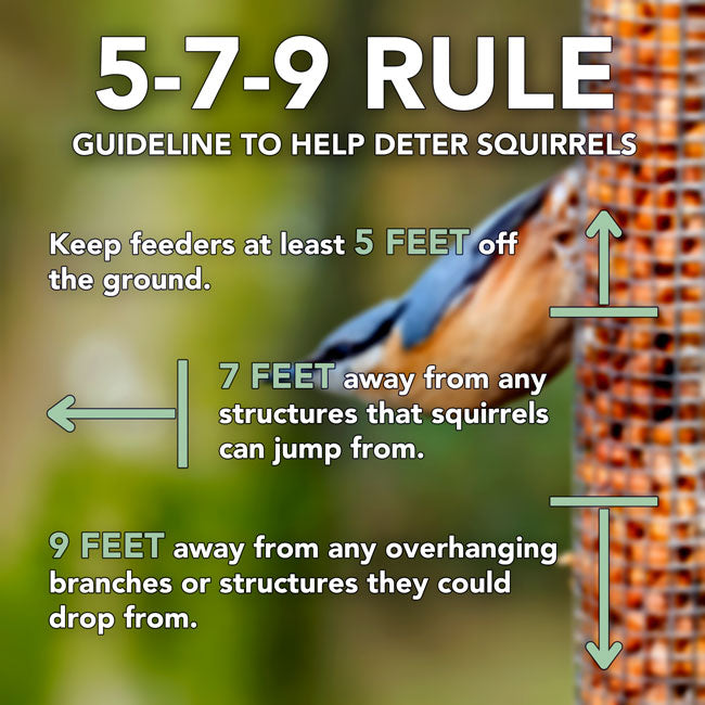 Cedar Suet Feeder w/Tail Prop & 12 Peanut Butter Suet Cakes