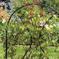 Achla Orangery Trellis Screen, Black, 65"H