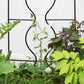 Achla Orangery Trellis Screen, Black, 65"H