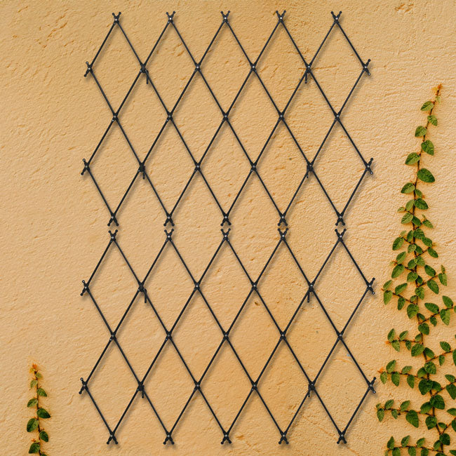 Achla Designs Wall Mounted Lattice Trellises, Pack of 2