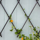 Achla Designs Wall Mounted Lattice Trellises, Pack of 2