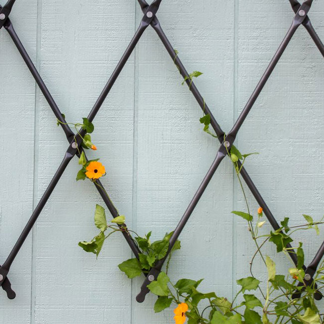 Achla Designs Wall Mounted Lattice Trellises, Pack of 2