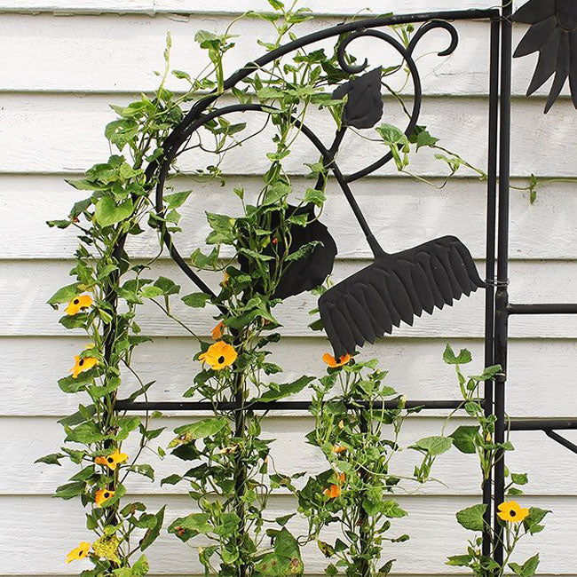 Achla Sunflowers Trellis Side Panels, Black, 58"H, Set of 2