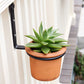 Achla Wall Mounted Flower Pot Holders, Black, 4" dia., 6 Pk.