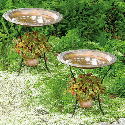 Ancient Graffiti Steel Bird Baths and Stands, Pack of 2