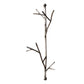 Ancient Graffiti Twigs Wall Hanger Package, Set of 3