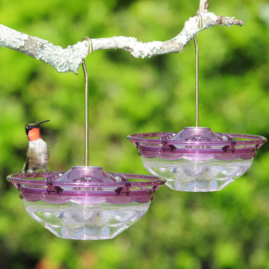 Aspects HummBlossom Hummingbird Feeders, Plum, Pack of 2