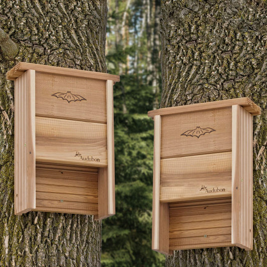 Audubon Cedar Bat Shelters, Pack of 2, 40 bats