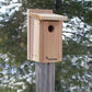 Audubon Cedar Bluebird Houses, Pack of 4