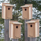 Audubon Cedar Bluebird Houses, Pack of 4