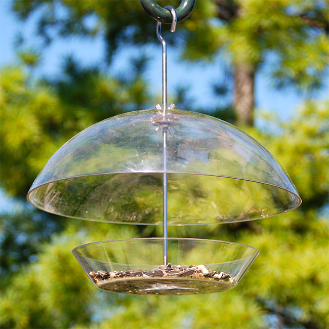 Audubon Domed Wild Bird Feeder with Mealworms Kit