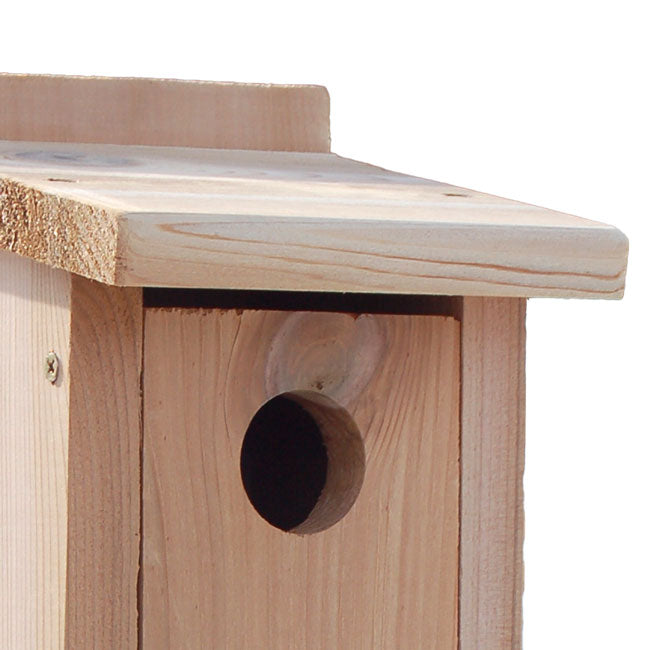 Audubon Cedar Bluebird Houses, Pack of 4