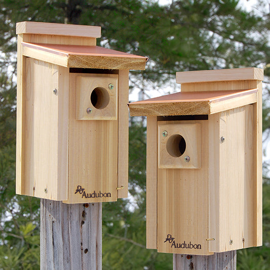 Audubon Coppertop Bluebird Houses, Pack of 2