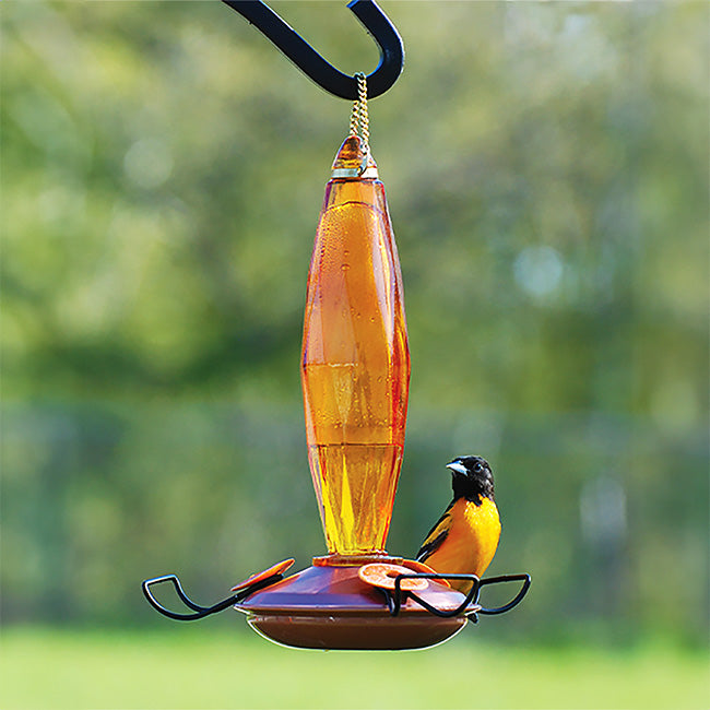 Audubon Cut Glass Oriole Feeder with Oriole Nectar