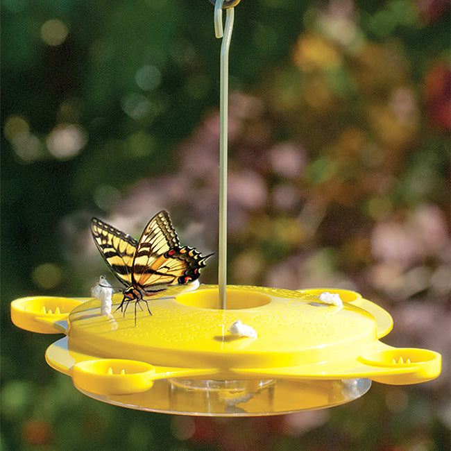 BestNest Flutterbye Butterfly House with Feeder and Book