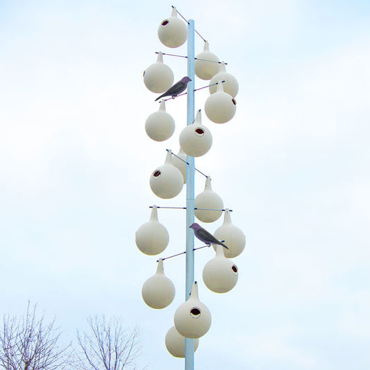 Heath 2-Piece Martin Gourds w/ Heavy-Duty Aluminum Pole Kit