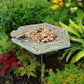 BestNest Butterfly Waterer and Puddler