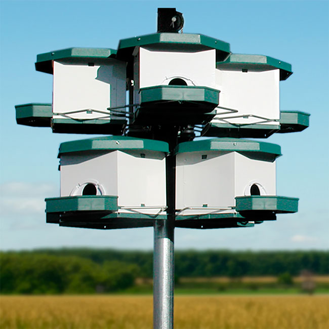 Heritage Farms Quad Pod Purple Martin House Package, 8 Room