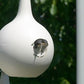 Heath 12-Room Deluxe Purple Martin House, Gourds, & Decoys Kit