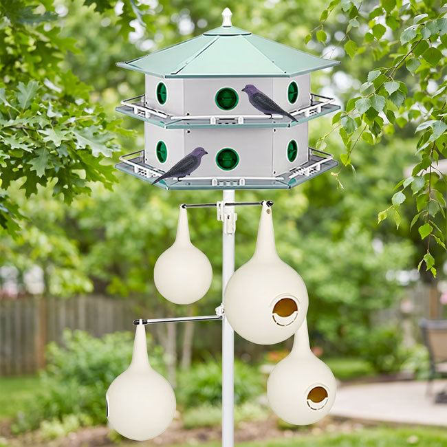 Heath 12-Room Deluxe Purple Martin House, Gourds, & Decoys Kit