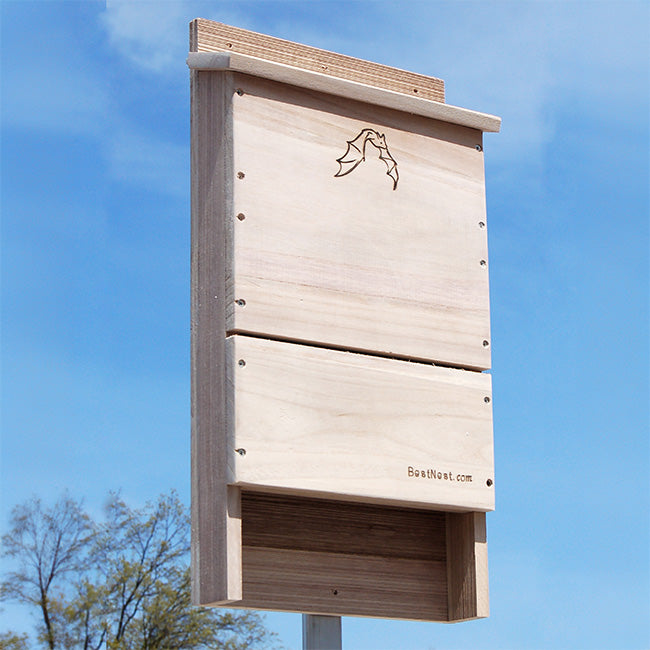 BestNest Bat House