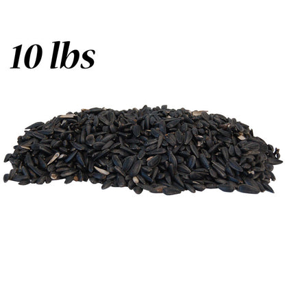 Black Oil Sunflower Seed