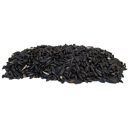 Black Oil Sunflower Seed