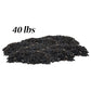 Black Oil Sunflower Seed