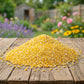 Cracked Corn, Medium
