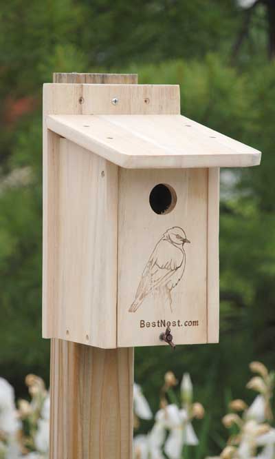 BestNest Seasonal Bluebird House