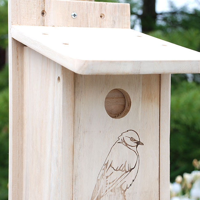 BestNest Seasonal Bluebird House