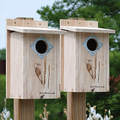 BestNest Classic Three-Woodpecker House